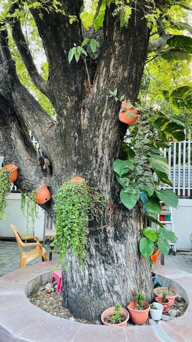 A Luxury Duplex In Dili City, Timor-Leste Zewnętrze zdjęcie